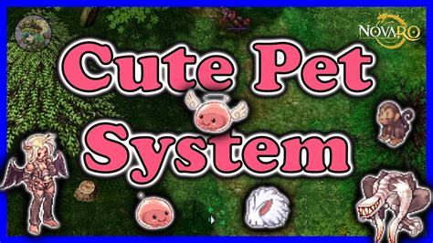 ragnarok online pets|Pets .